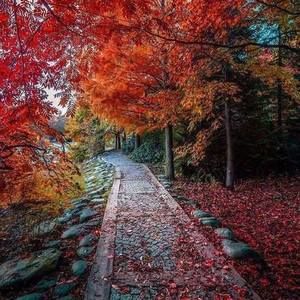 Meet your Posher, Katia